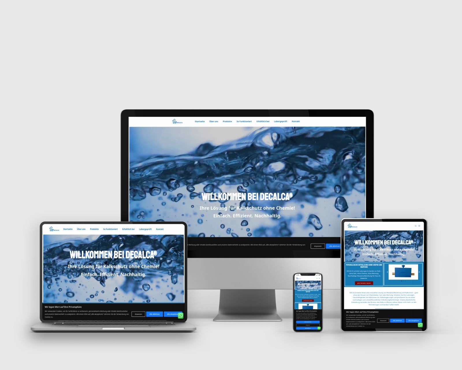 Web Design project